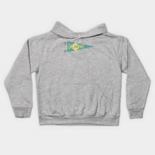 Delaware Flag Pennant Kids Hoodie